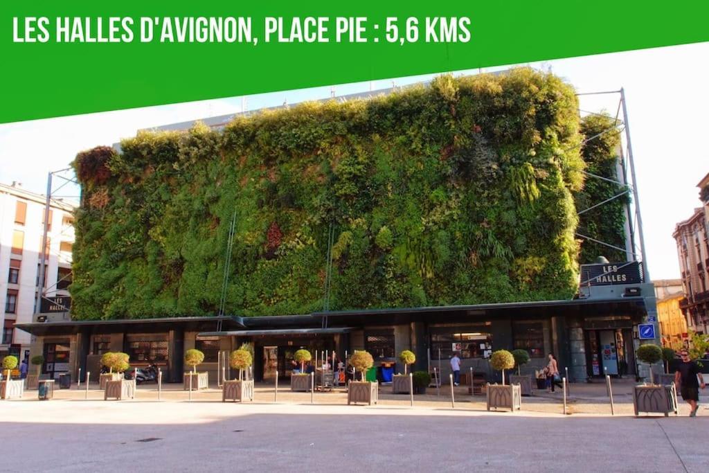 Apartamento Petit Terme - Piscine - Clim - Parking Les Angles  Exterior foto